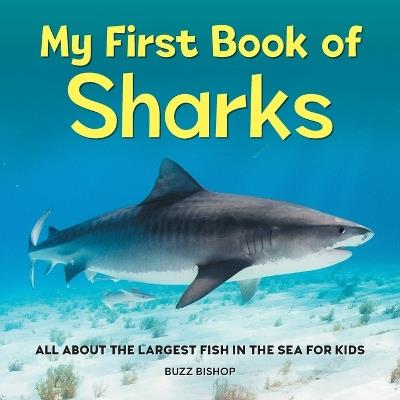My First Book of Sharks - Buzz Bishop - cover