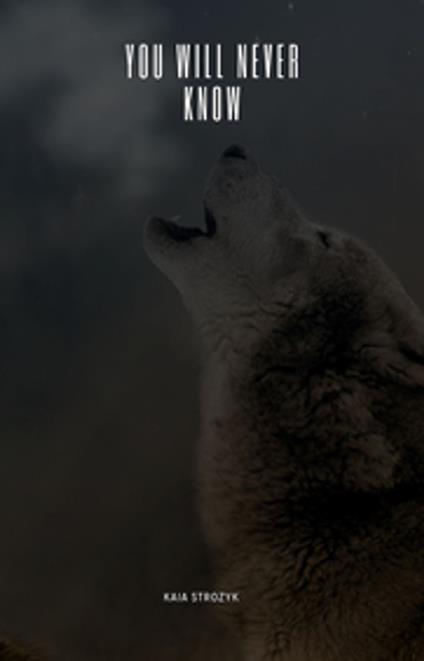 You Will Never Know - Kaia Strozyk - ebook