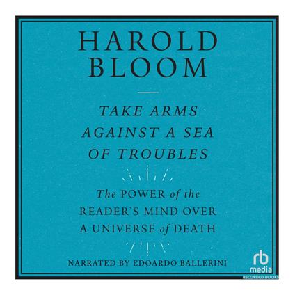 Take Arms Against a Sea of Troubles