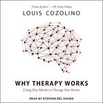 Why Therapy Works