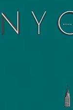 NYC Teal Chrysler building Graph Page style $ir Michael Limited edition: NYC Teal Chrysler building Graph Page style $ir Michael Limited edition