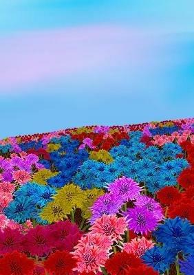 Mindbook: Oh, my bottle flower field - Dawn Avalon - cover
