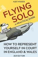 Flying Solo: How to Represent Yourself in Court in England and Wales