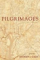 Pilgrimages - Andrew J Calis - cover