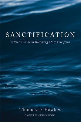 Sanctification: A User's Guide to Becoming More Like Jesus - Thomas D Hawkes - cover