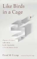 Like Birds in a Cage: Christian Zionism's Collusion in Israel's Oppression of the Palestinian People - David M Crump - cover