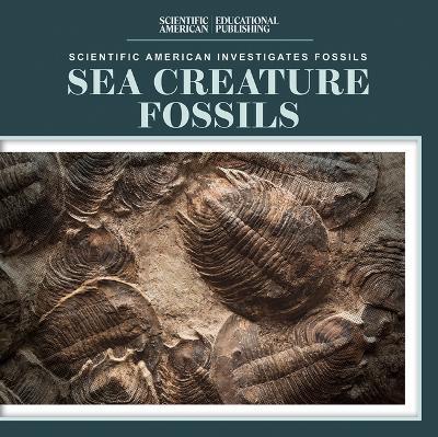 Sea Creature Fossils - Natalie Humphrey - cover