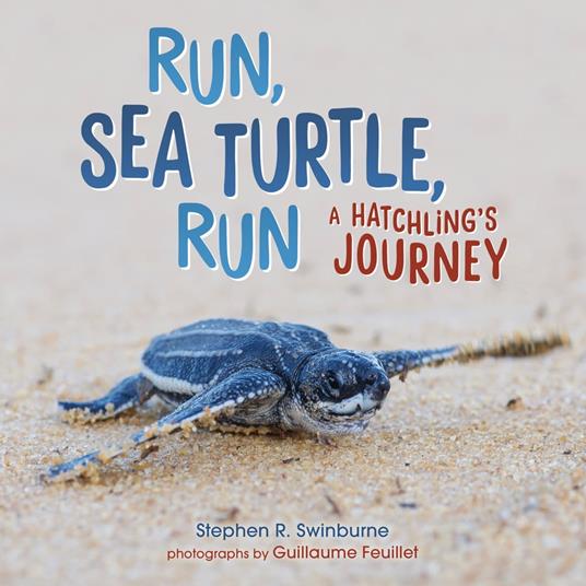 Run, Sea Turtle, Run