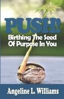 Push!: Birthing The Seed Of Purpose In You - Angeline L Williams - cover