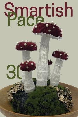 Smartish Pace: Issue 30 - cover