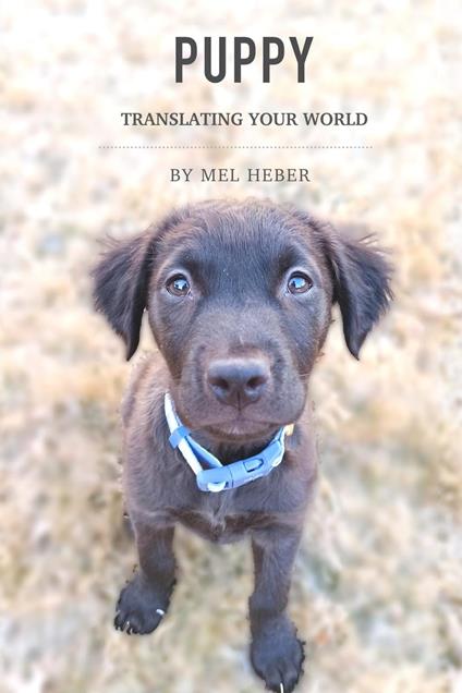 Puppy, Translating Your World