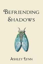 Befriending Shadows