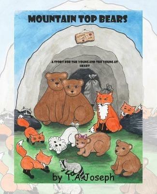 The Mountain Top Bears - T A Joseph - cover