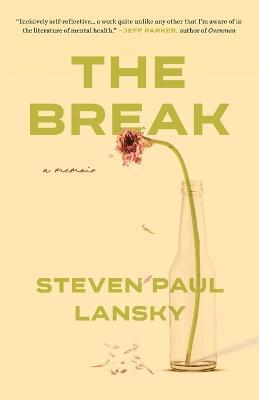 The Break - Steven P Lansky - cover