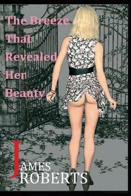 The Breeze That Revealed Her Beauty: The Breeze Brought Her To Me - James Roberts - cover