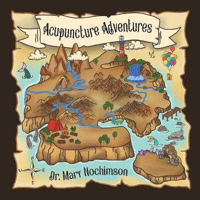Acupuncture Adventures - Mary Nochimson - cover