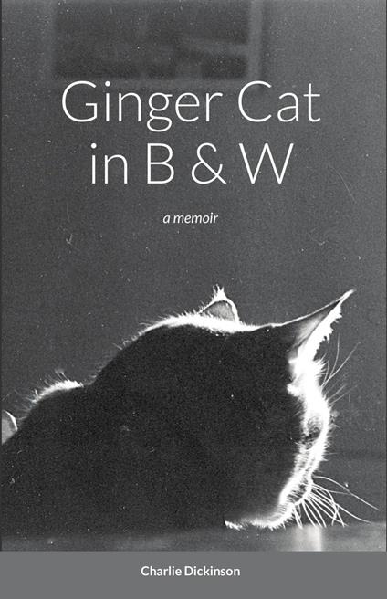 Ginger Cat in B & W: A Memoir