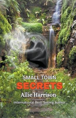 Small Town Secrets - Allie Harrison - cover