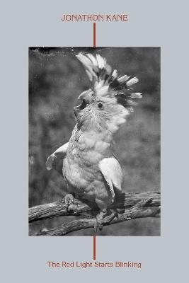 The Red Light Starts Blinking - Jonathon Kane - cover