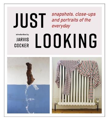 JUST LOOKING: snapshots, close-ups and portraits of the everyday - cover