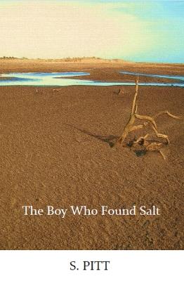 The Boy Who Found Salt - S. Pitt - cover