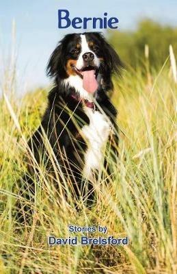 Bernie: Stories - David Brelsford - cover