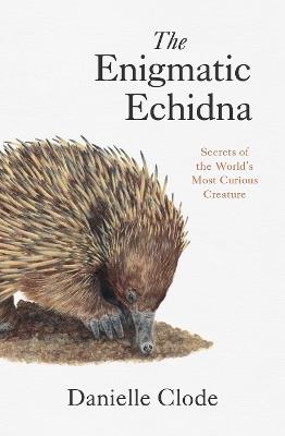 The Enigmatic Echidna: Secrets of the World's Most Curious Creature - Danielle Clode - cover