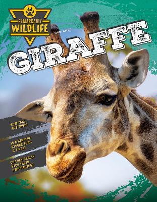 Giraffe - John Lesley - cover
