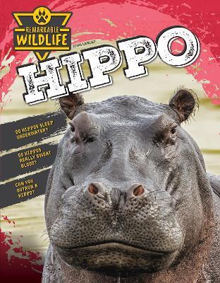 Hippo - John Lesley - cover