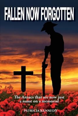 Fallen Now Forgotten: The Anzacs that are now just a name on a memorial - Patricia Kennedy - cover
