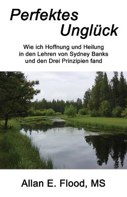 Perfektes Unglück: Wie ich Hoffnung und Heilung in den Lehren von Sydney Banks und den Drei Prinzipien fand - Allan E Flood - cover