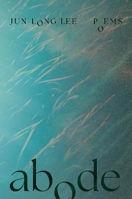 Abode - Jun-long Lee - cover