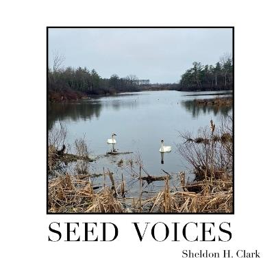 Seed Voices - Sheldon H Clark - cover