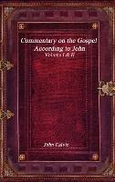 Commentary on the Gospel According to John