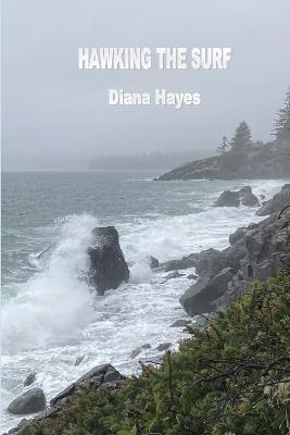 Hawking the Surf - Diana Hayes - cover