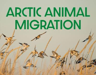 Arctic Animal Migration: English Edition - Arvaaq Press - cover