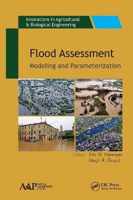 Flood Assessment: Modeling & Parameterization - cover