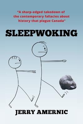 Sleepwoking - Jerry Amernic - cover