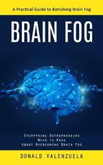 Brain Fog: A Practical Guide to Banishing Brain Fog (Everything Entrepreneurs Need to Know About Overcoming Brain Fog)