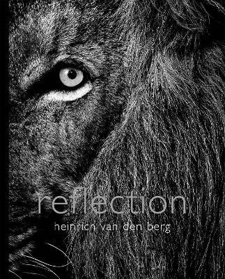 Reflection - Heinrich Van Den Berg - cover