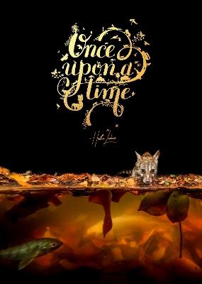 Once Upon a Time - Hannes Lochner - cover
