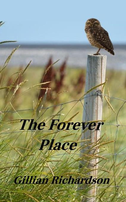 The Forever Place - Gillian Richardson - ebook