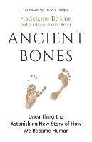 Ancient Bones: Unearthing the Astonishing New Story of How We Became Human - Madelaine Bhme,Rdiger Braun,Florian Breier - cover