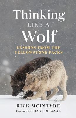 Thinking Like a Wolf: Lessons From the Yellowstone Packs - Rick McIntyre - cover