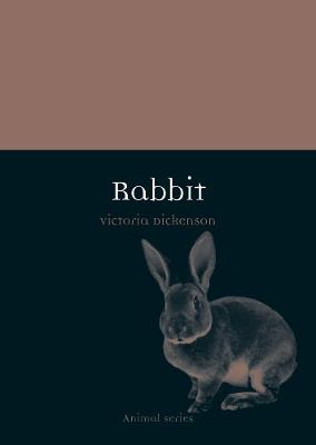 Rabbit - Victoria Dickenson - cover