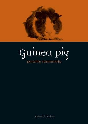 Guinea Pig - Dorothy Yamamoto - cover