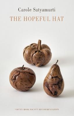The Hopeful Hat - Carole Satyamurti - cover