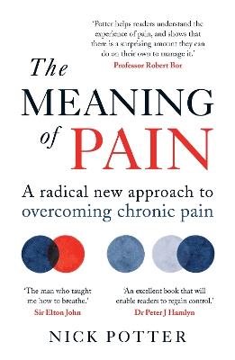 The Meaning of Pain: A radical new approach to overcoming chronic pain - Nick Potter - cover