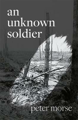 An Unknown Soldier - Peter Morse - cover