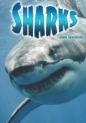Sharks - John Townsend - cover